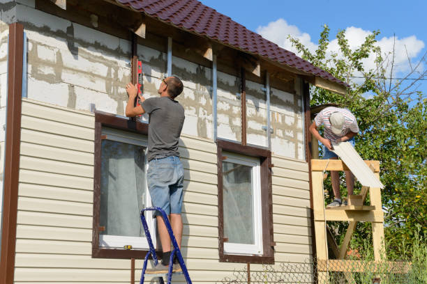 Best Insulated Siding Installation  in Ridgway, CO