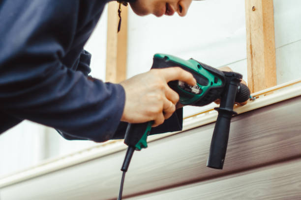 Best Vinyl Siding Installation  in Ridgway, CO